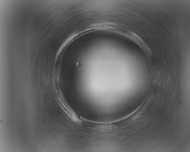 X0000056361196200509021740