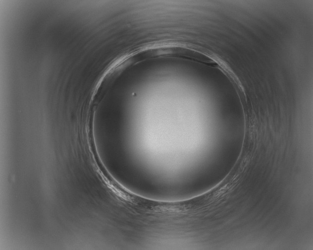 X0000056361197200509021740