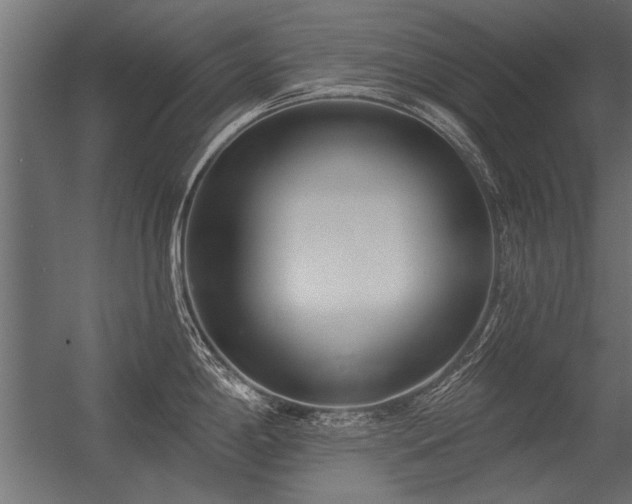 X0000056361198200509021740