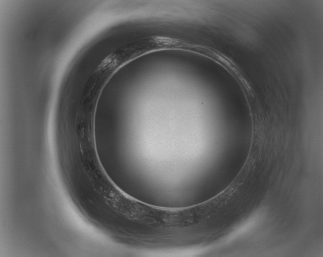 X0000056361199200509021740