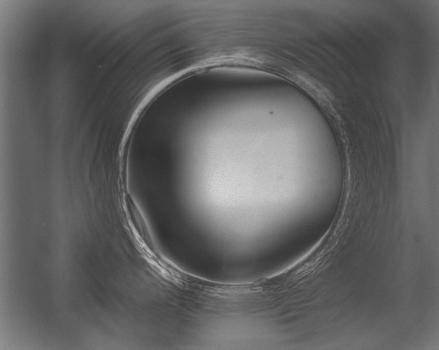 X0000056361200200509021740