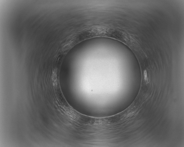 X0000056361203200509021739