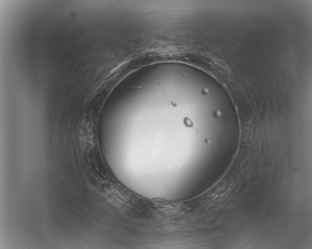 X0000056361205200509021739