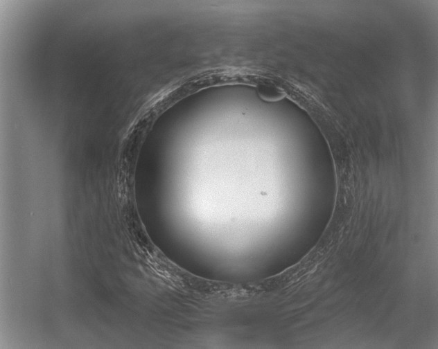 X0000056361207200509021739