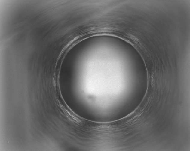 X0000056361212200509021739