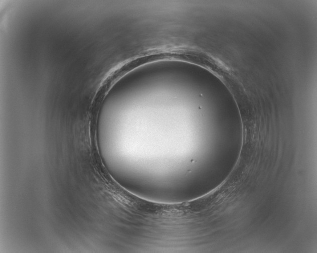 X0000056361214200509021739