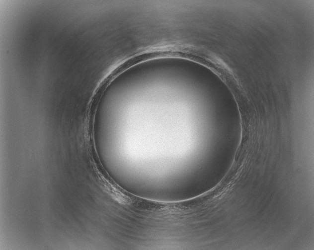 X0000056361216200509021739