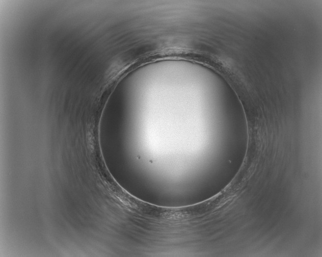 X0000056361217200509021739