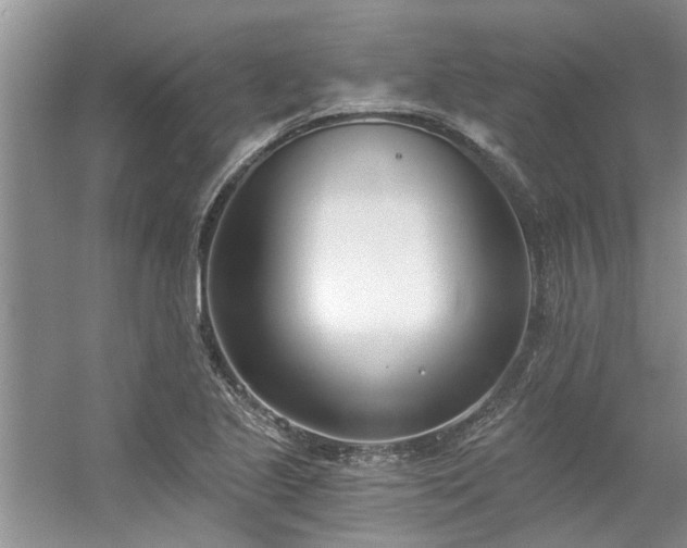 X0000056361221200509021739