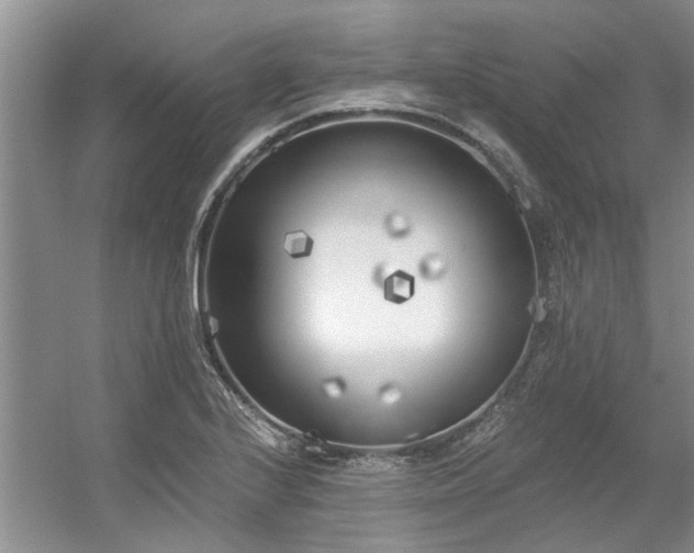 X0000056361224200509021739