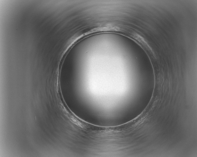 X0000056361228200509021739