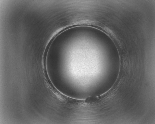 X0000056361230200509021739