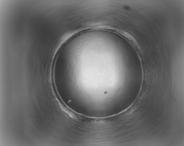 X0000056361231200509021739