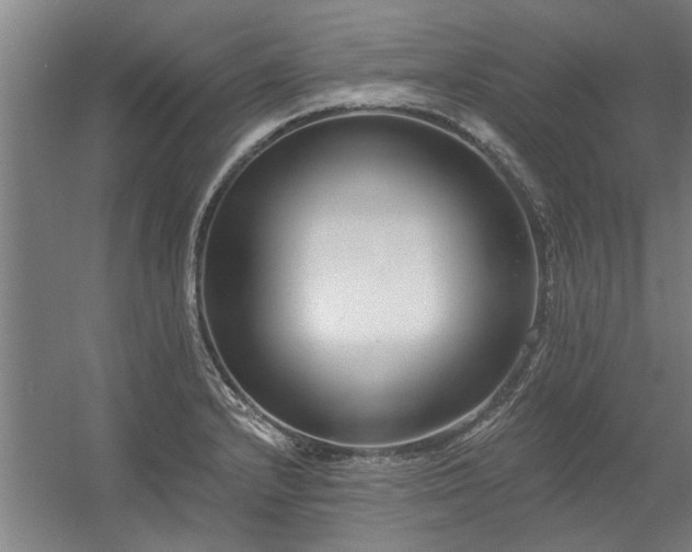 X0000056361232200509021739