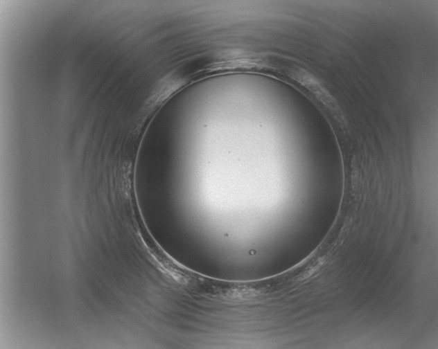 X0000056361233200509021739