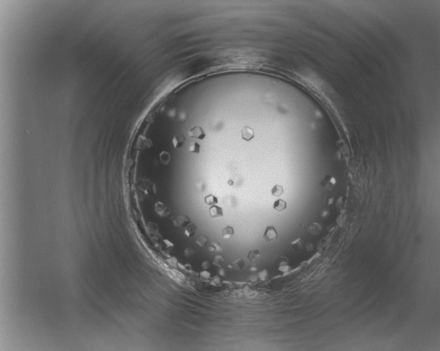 X0000056361235200509021739