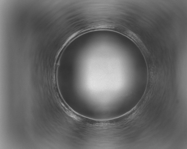 X0000056361236200509021739