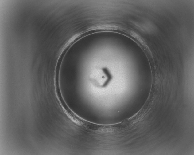 X0000056361237200509021739