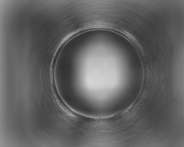 X0000056361238200509021739