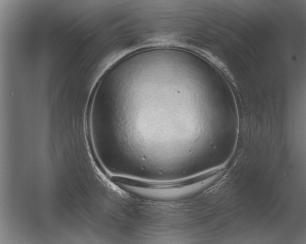 X0000056361239200509021739