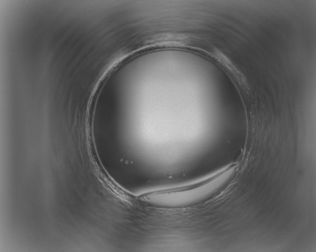 X0000056361240200509021739