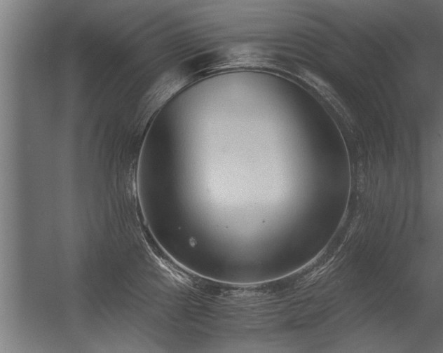 X0000056361241200509021740