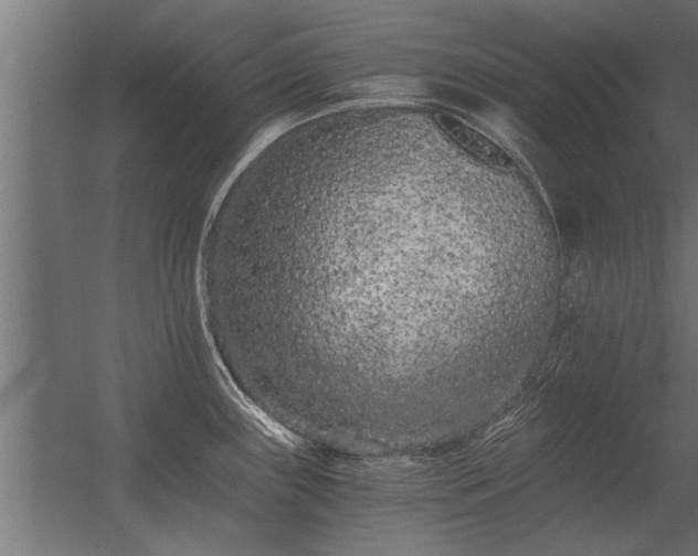 X0000056361243200509021740