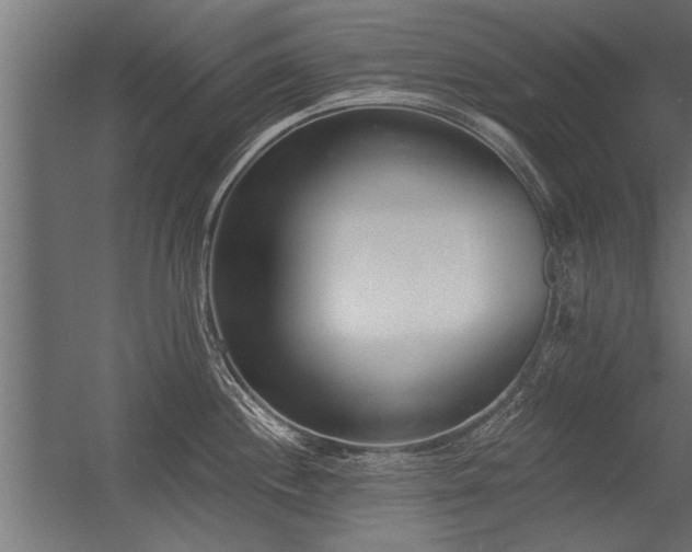 X0000056361244200509021740