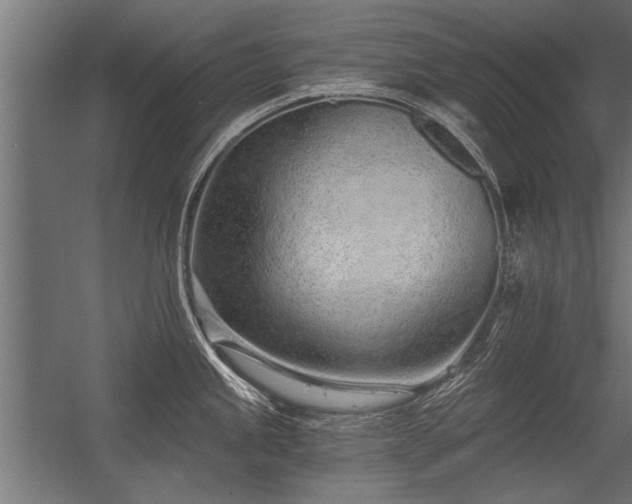 X0000056361245200509021740