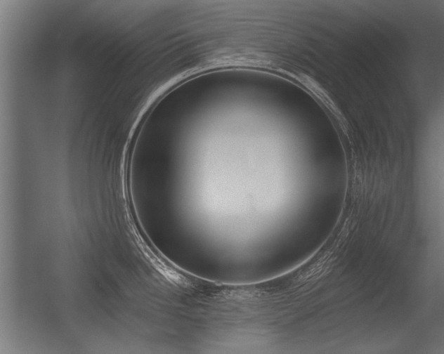 X0000056361246200509021740