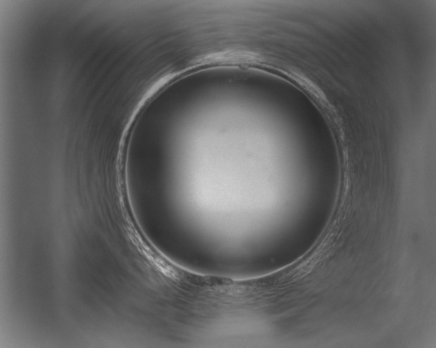 X0000056361248200509021740