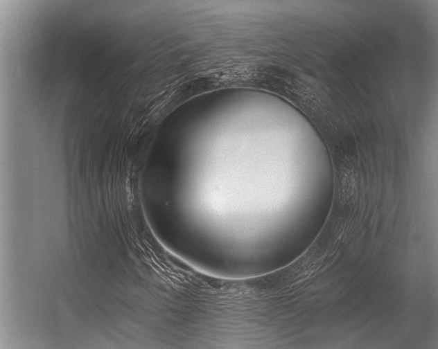 X0000056361250200509021739