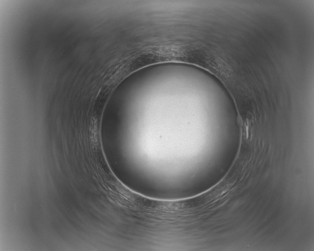 X0000056361251200509021739