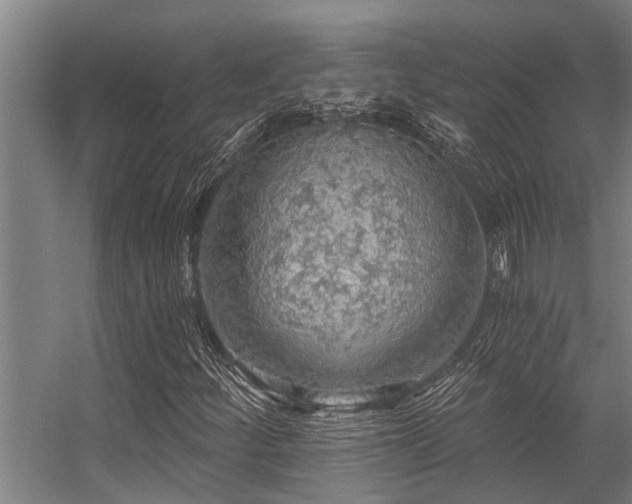 X0000056361252200509021739