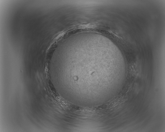 X0000056361254200509021739