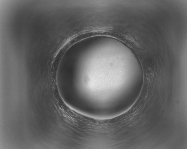 X0000056361256200509021739