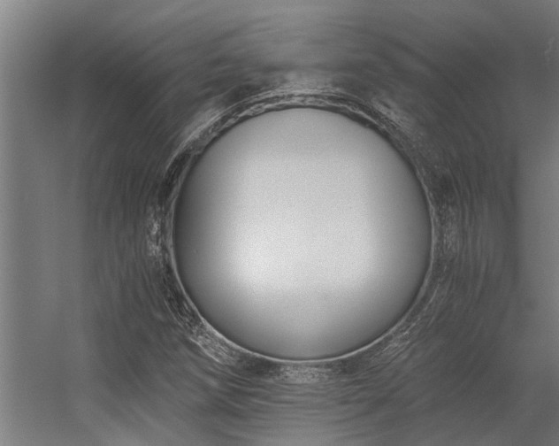 X0000056361258200509021739