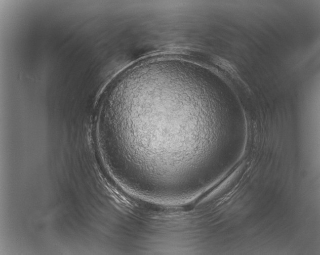 X0000056361260200509021739