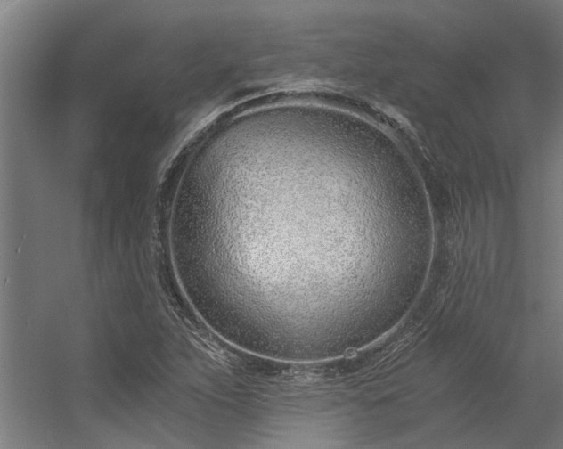 X0000056361263200509021739