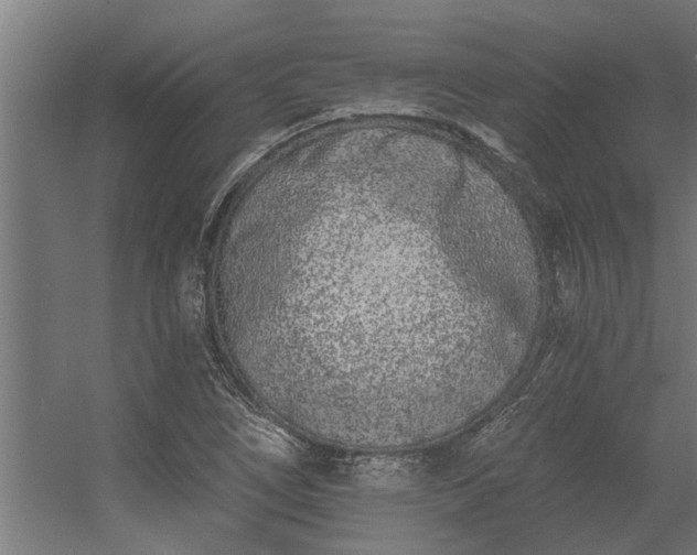 X0000056361266200509021739