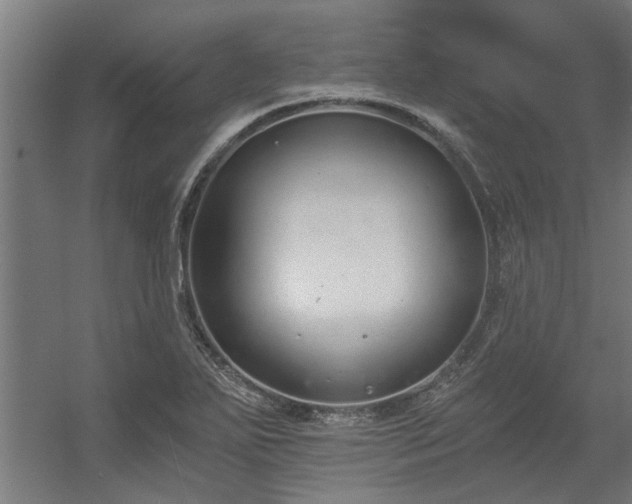 X0000056361271200509021738