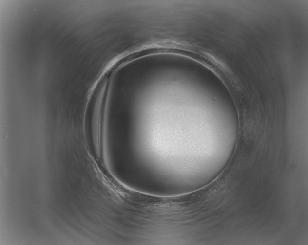 X0000056361272200509021738