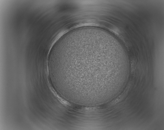 X0000056361274200509021738