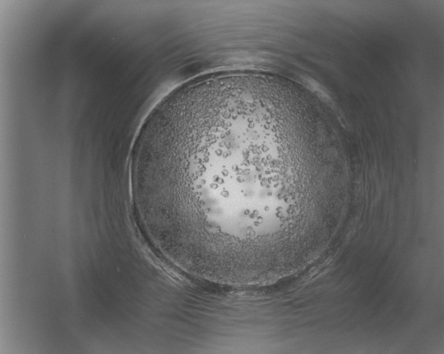 X0000056361275200509021738