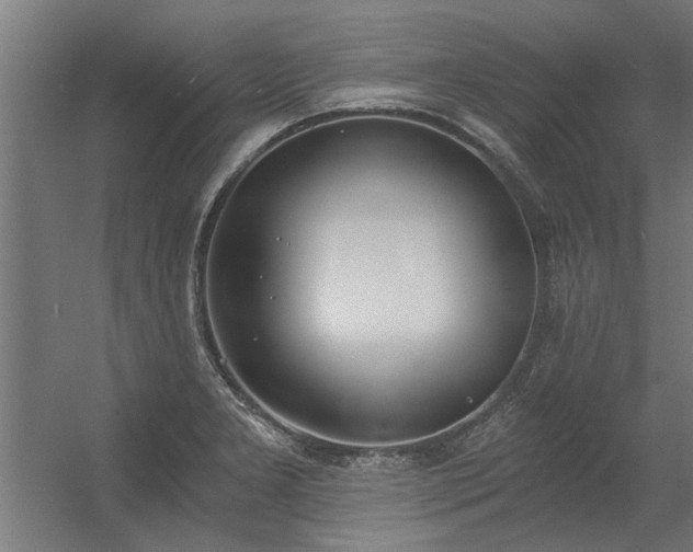 X0000056361277200509021738