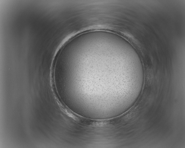 X0000056361278200509021738