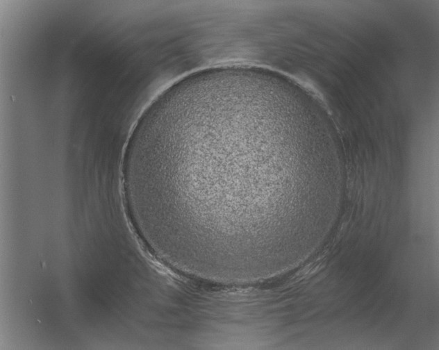 X0000056361279200509021738