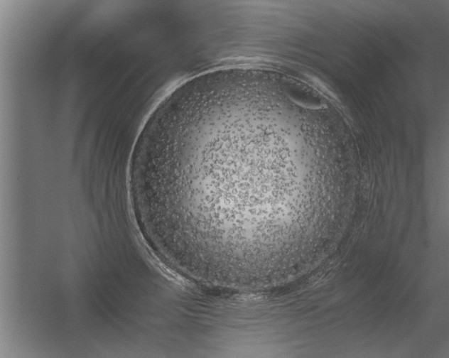 X0000056361283200509021738