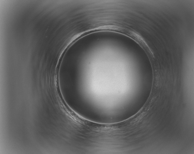 X0000056361284200509021738