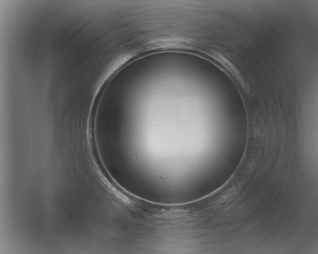 X0000056361285200509021738